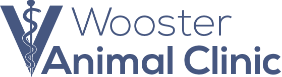 Wooster Animal Clinic